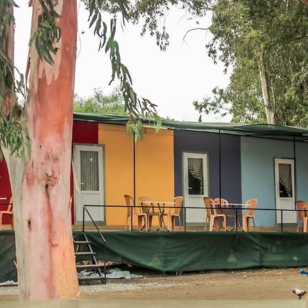 Patara Woody Hostel & Camping Exteriör bild
