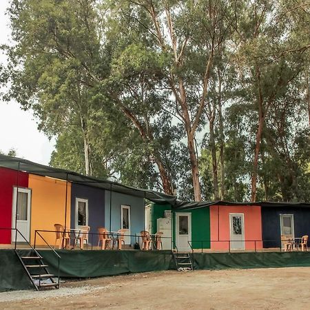 Patara Woody Hostel & Camping Exteriör bild