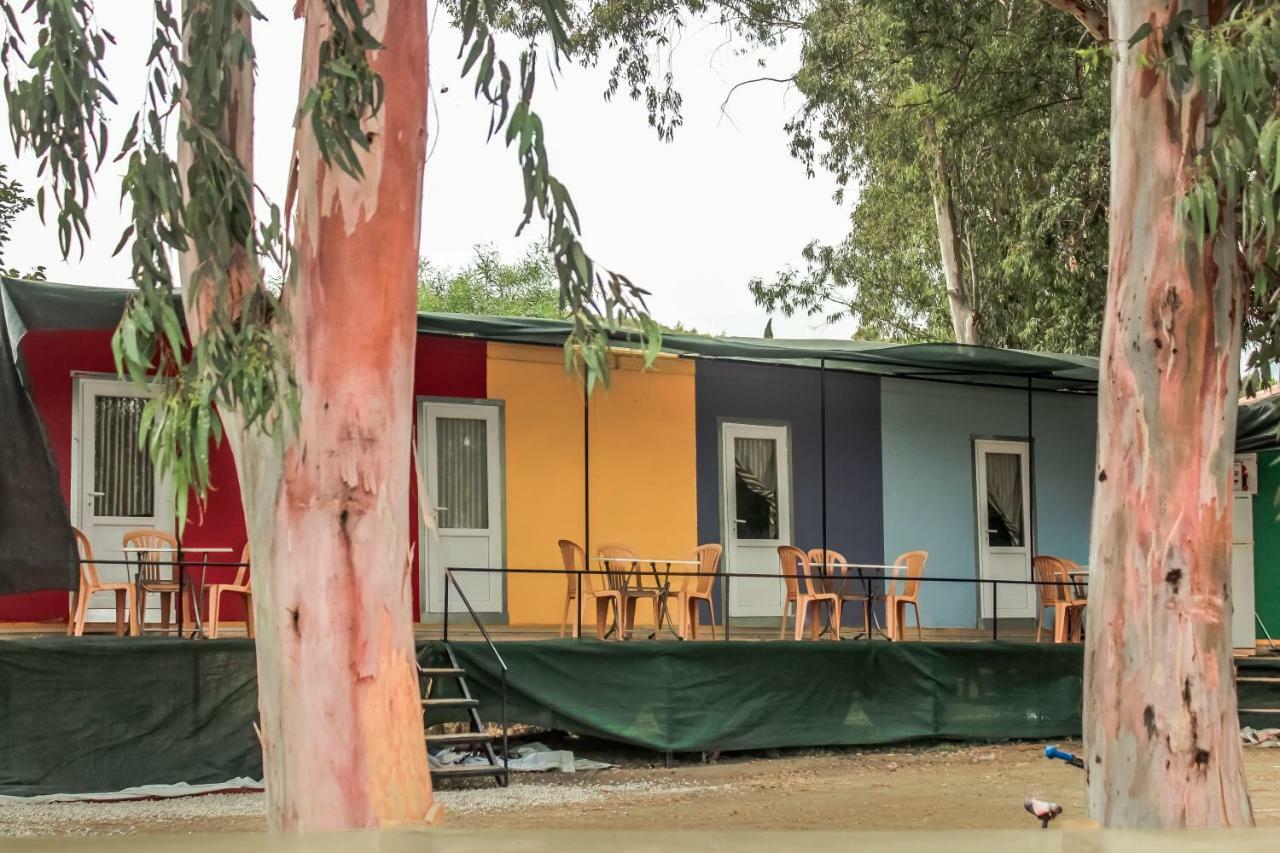 Patara Woody Hostel & Camping Exteriör bild