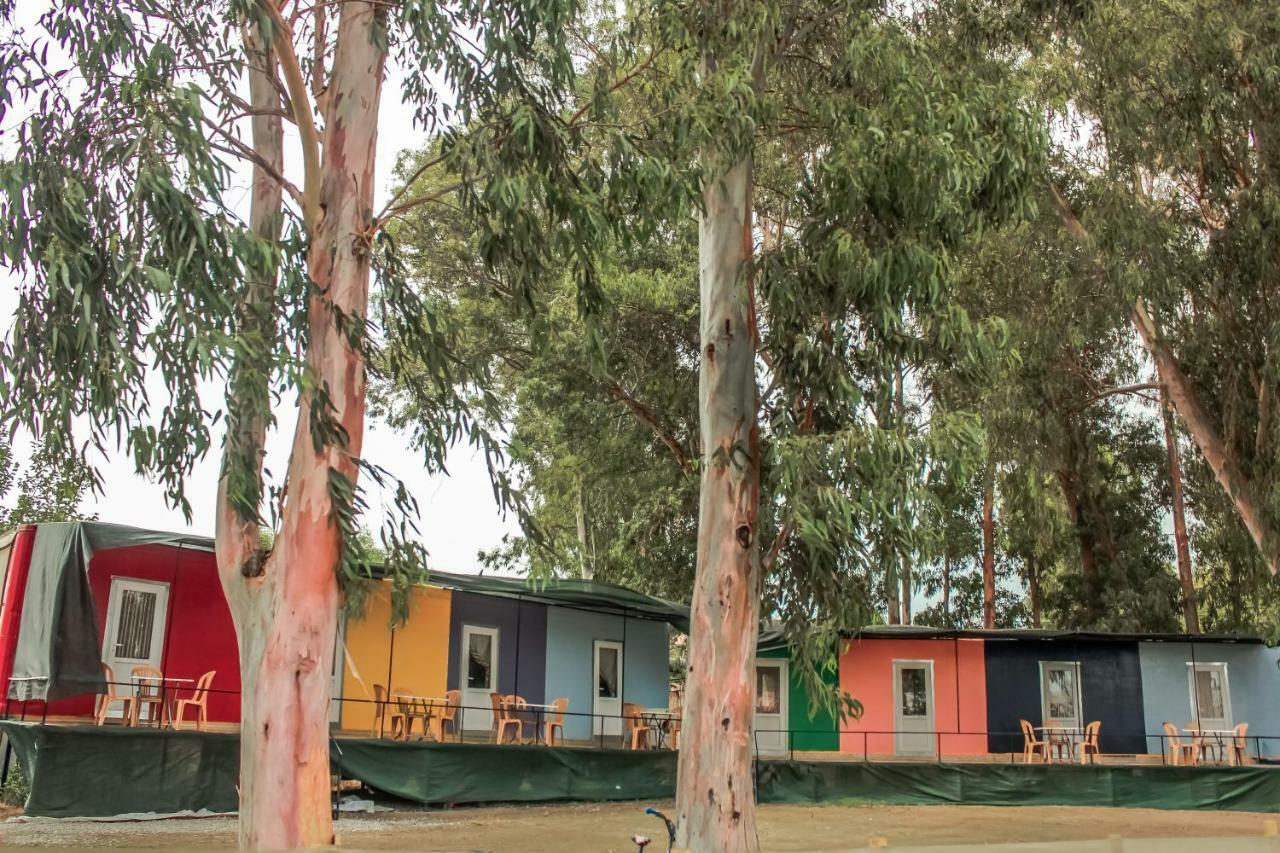 Patara Woody Hostel & Camping Exteriör bild